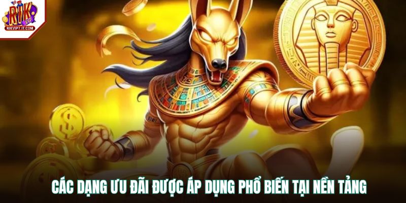 Các dạng ưu đãi được áp dụng phổ biến tại nền tảng